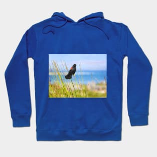 Summer Red Winged Blackbird Hoodie